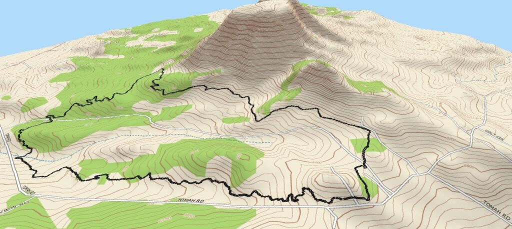 3D-map rendering